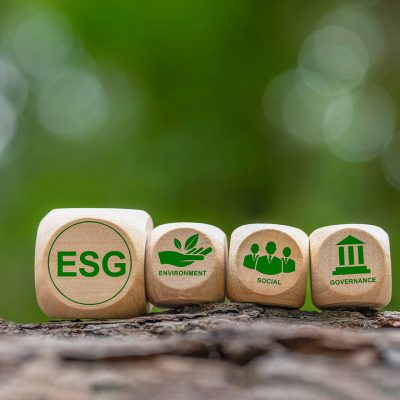 Concepts of ESG, environment, society and governance Sustainable Business and Green Business Sustainable energy. Esg icons on green background wooden blocks.